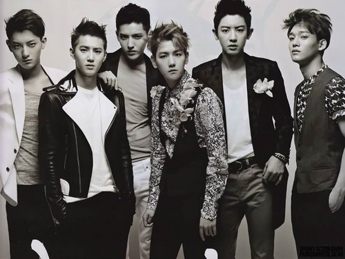  EXO for "CeCi"