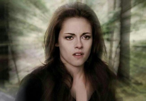  Edward, Bella, Cullens and Jake