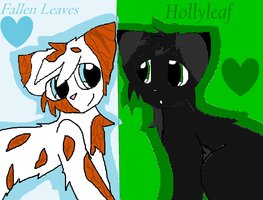  Fallen Leaves and Hollyleaf
