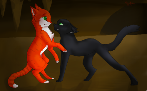  Fallen leaves and Hollyleaf