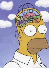 Homer's Brain