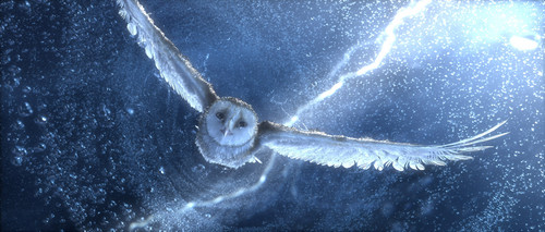  Legend-of-the-Guardians-The-Owls-of-GaHoole-movie-image