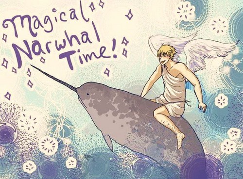  Magical Narwhal Time!