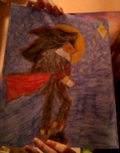  My drawing of Shadow the Hedgehog