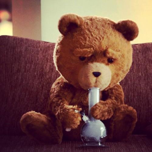  Ted <3