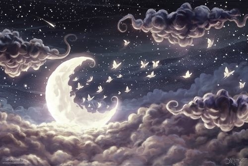  beautiful moonlight
