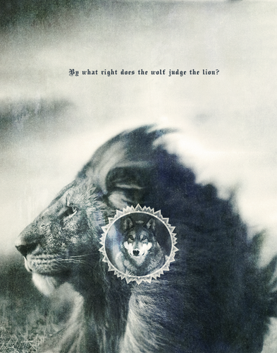  의해 what right does the 늑대 judge the lion?