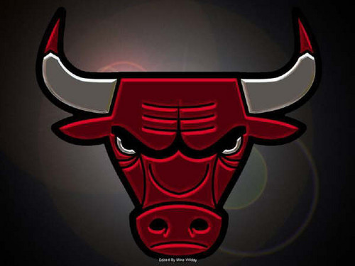  the bulls logo