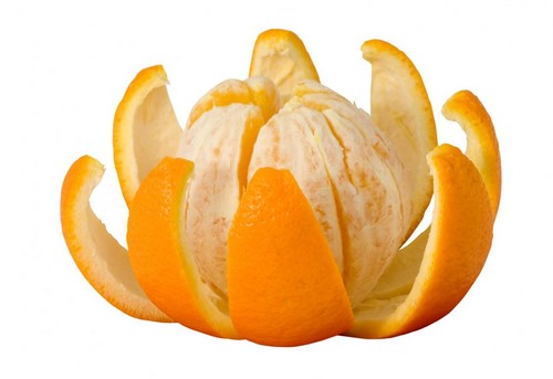 An オレンジ フルーツ called "Orange"