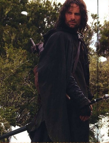  Aragorn in the Fellowship of the Ring