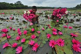  Beautiful Bangladesh*_*