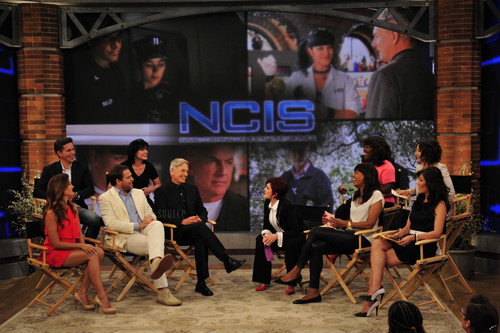 Cote de Pablo and the NCIS cast on The Talk - 5/14/13