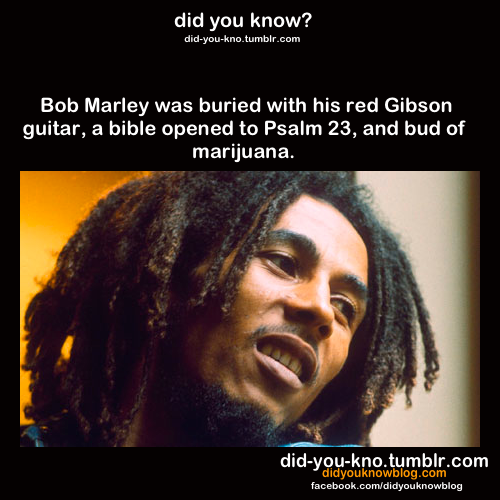  Did u Know?