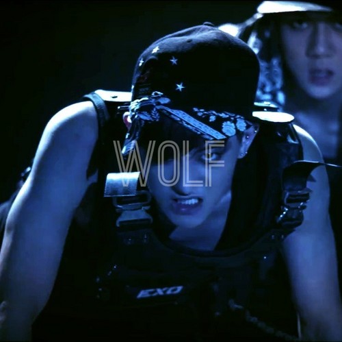  EXO ~ 狼, オオカミ Teaser