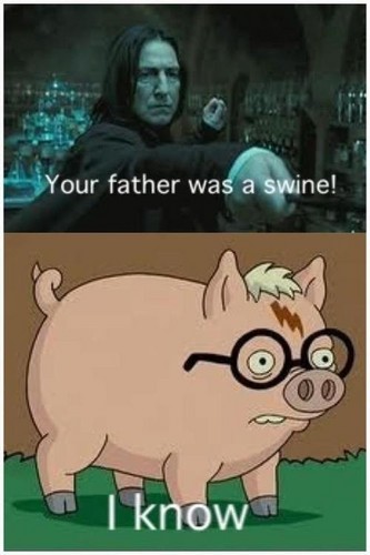  Father was a Swine