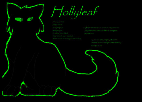  Hollyleaf