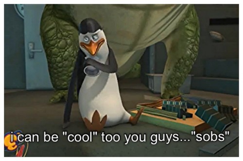 Kowalski sad because he doesn't think he's cool enough:(