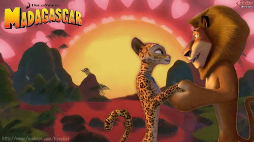  Madagascar Alex and Gia Любовь Обои
