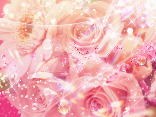 Pretty Pink Roses Wallpaper