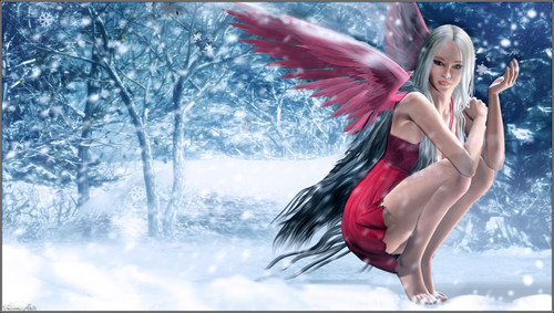 Red Winter Fairy