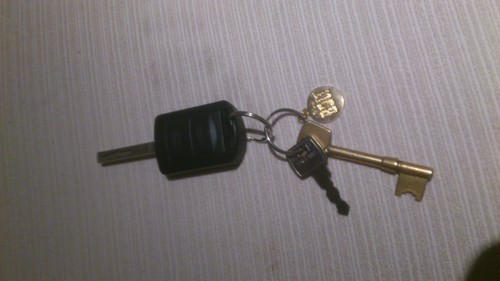 my bolty car keys