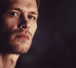  “Niklaus, the girl is carrying your child.”