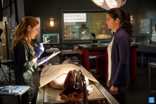  Rizzoli and Isles - Episode 4.01 - We Are Family - Promotional foto