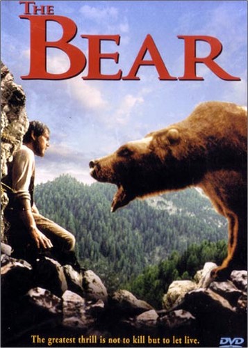 oso, oso de