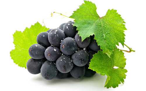  Dark Purple Grapes