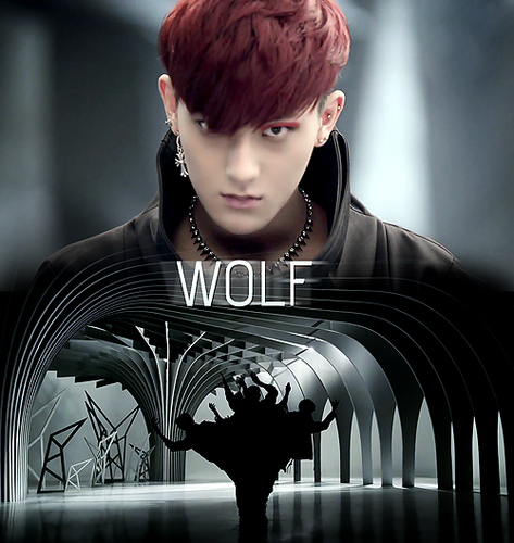 EXO ~ Wolf MV