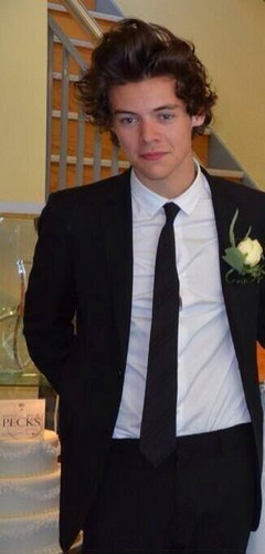  Harry in his mom's marriage (01.06.13)
