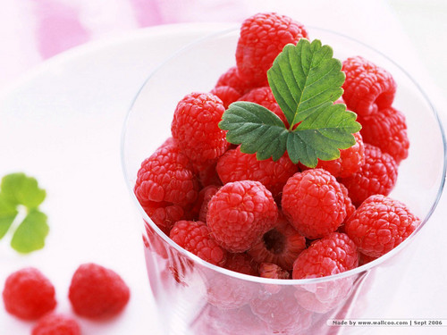 Red Raspberries <3
