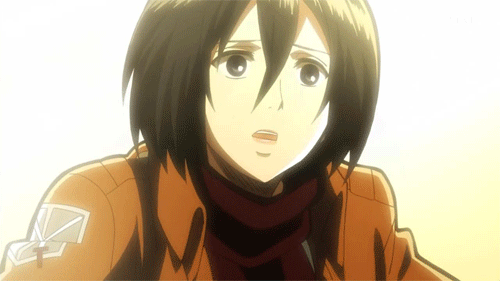 Shingeki no Kyojin [Mikasa Ackerman]