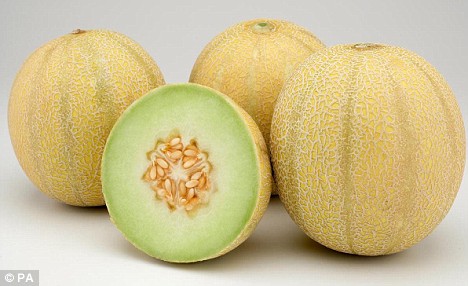 Sweet Green Honeydew Melon