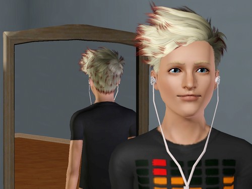  The Sims 3~ Chip