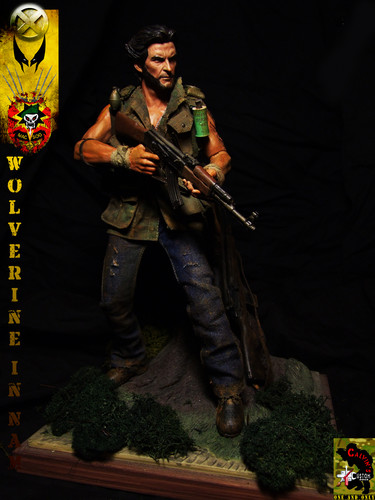  Wolverine in NAM