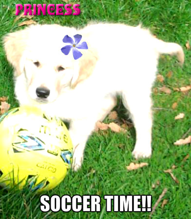 soccer time