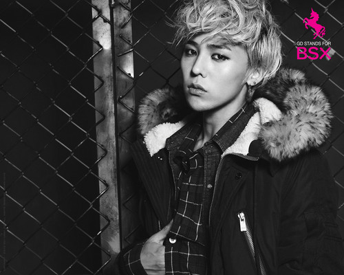  ♥¸.•*´¯)*•GDragon ~BSX~winter wp♥¸.•*´¯)*•