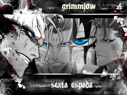  *Grimmjow*