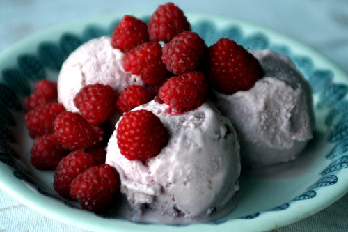  Red 산딸기, 라즈베리 아이스크림