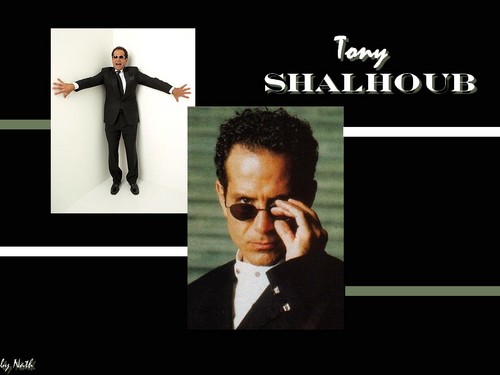  Tony Shalhoub