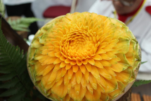  citrouille fleur carving