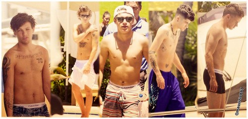  one direction shirtless 2013