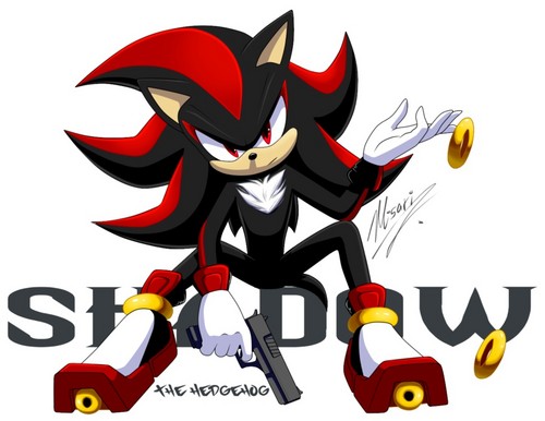 .:Shadow the Hedgehog:.