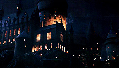  Harry Potter and the Sorcerer’s Stone GIFs