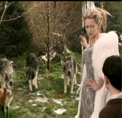  Jadis looks at Edmund as the fuchs called him You'r Majesty and not her.