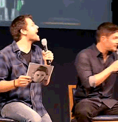  Jensen with Misha's Resume