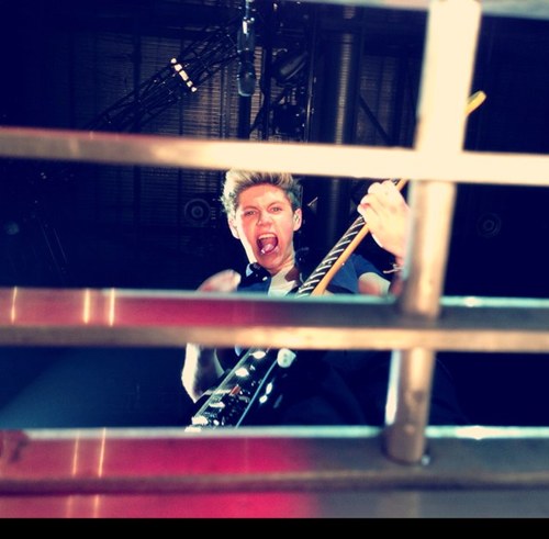 Niall Twitter Icon