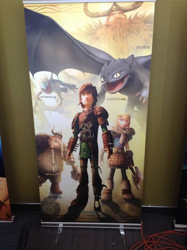  Older Hiccup and Astrid from HTTYD 2