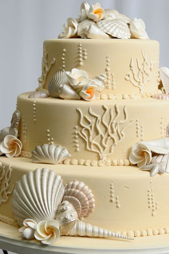 Sea Shell cake